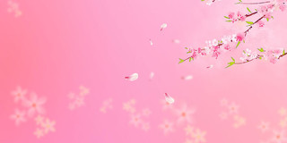 粉色渐变色唯美春天花桃花桃花展板背景